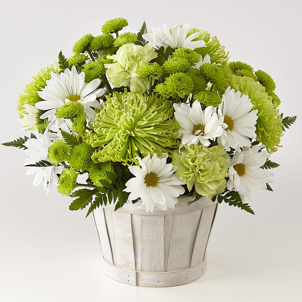 Lucky Charm Basket (Standard) – LEE'S FLORIST & GREENHOUSE, Center Line MI