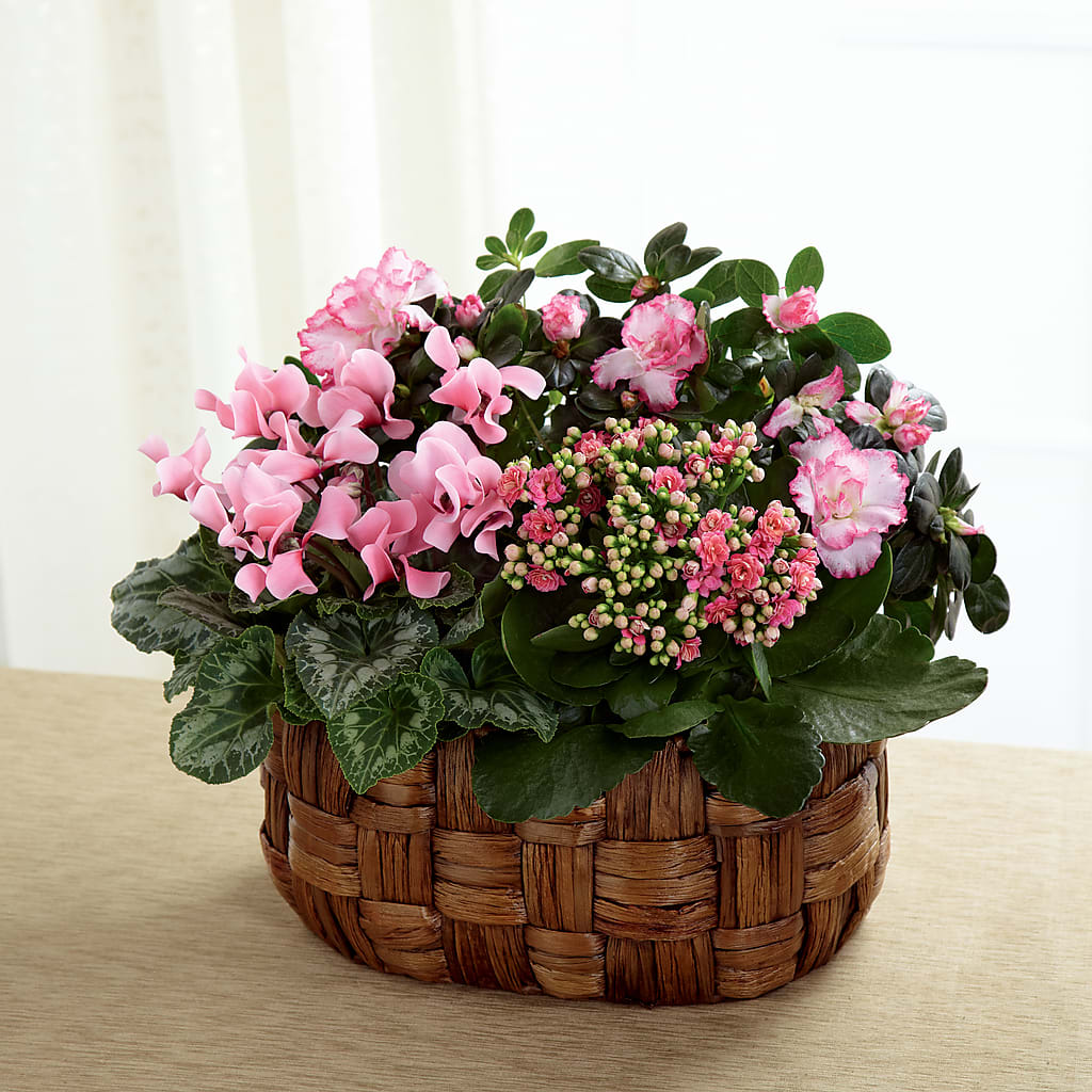 Pink Assortment – LEE'S FLORIST & GREENHOUSE, Center Line MI