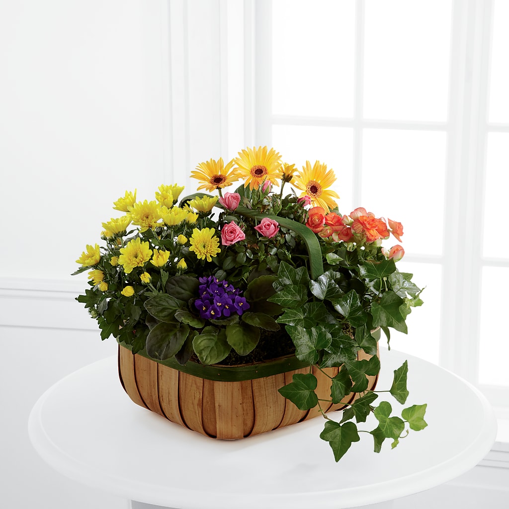 Gentle Blossoms Basket – LEE'S FLORIST & GREENHOUSE, Center Line MI