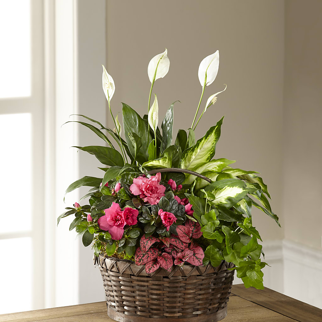 Dream in Pink Dishgarden – LEE'S FLORIST & GREENHOUSE, Center Line MI