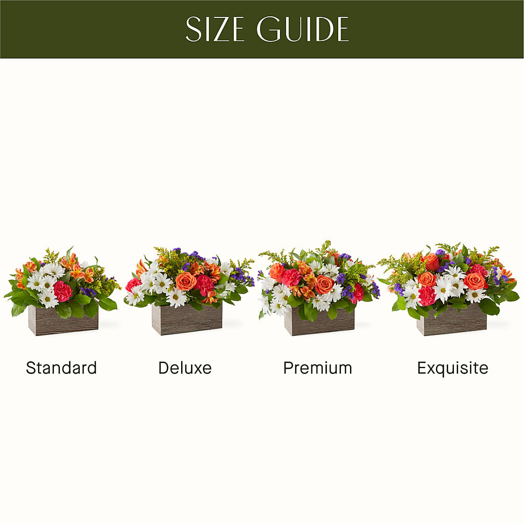 Oopsie Daisy Box Bouquet – LEE'S FLORIST & GREENHOUSE, Center Line MI