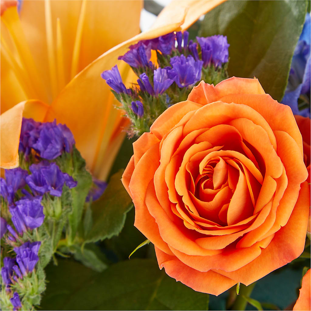 Radiant Citrus Box Bouquet – LEE'S FLORIST & GREENHOUSE, Center Line MI