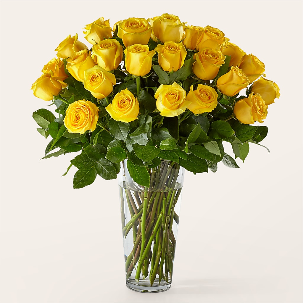 Long Stem Yellow Rose Bouquet – LEE'S FLORIST & GREENHOUSE, Center Line MI