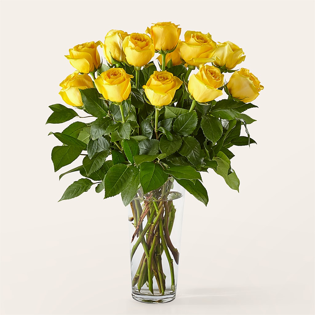 Long Stem Yellow Rose Bouquet – LEE'S FLORIST & GREENHOUSE, Center Line MI