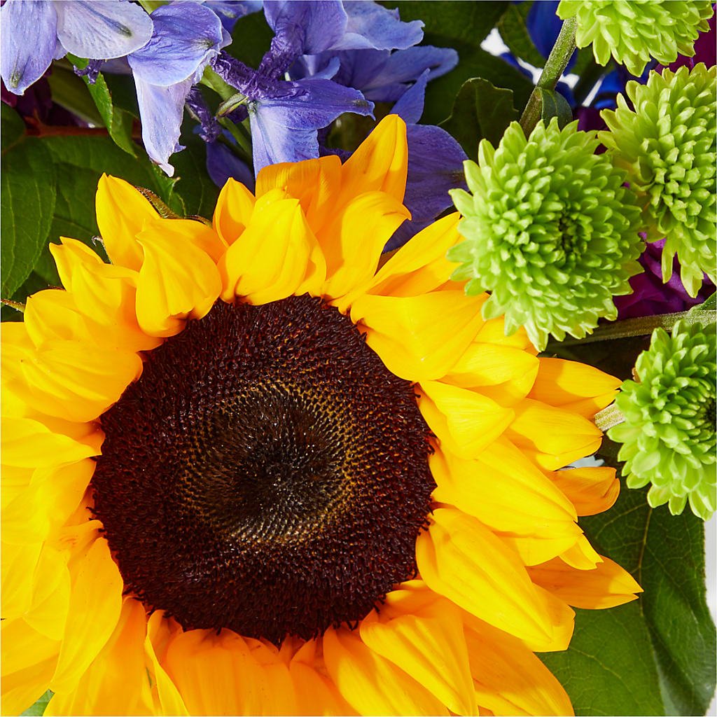 Catching Rays Bouquet – LEE'S FLORIST & GREENHOUSE, Center Line MI