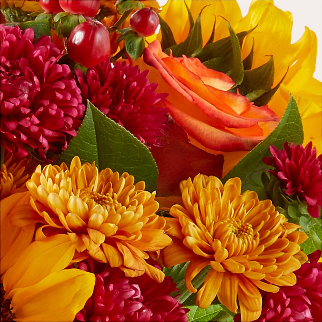 Sweater Season - A Florist Original – LEE'S FLORIST & GREENHOUSE, Center Line MI