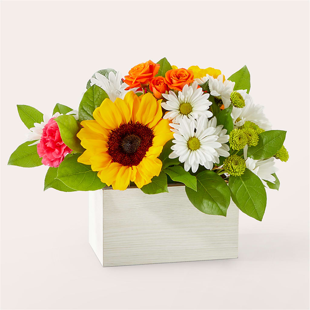 Sun-drenched Blooms Box Bouquet – LEE'S FLORIST & GREENHOUSE, Center Line MI