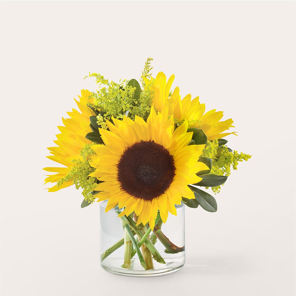 Beaming Sunflower Bouquet – LEE'S FLORIST & GREENHOUSE, Center Line MI