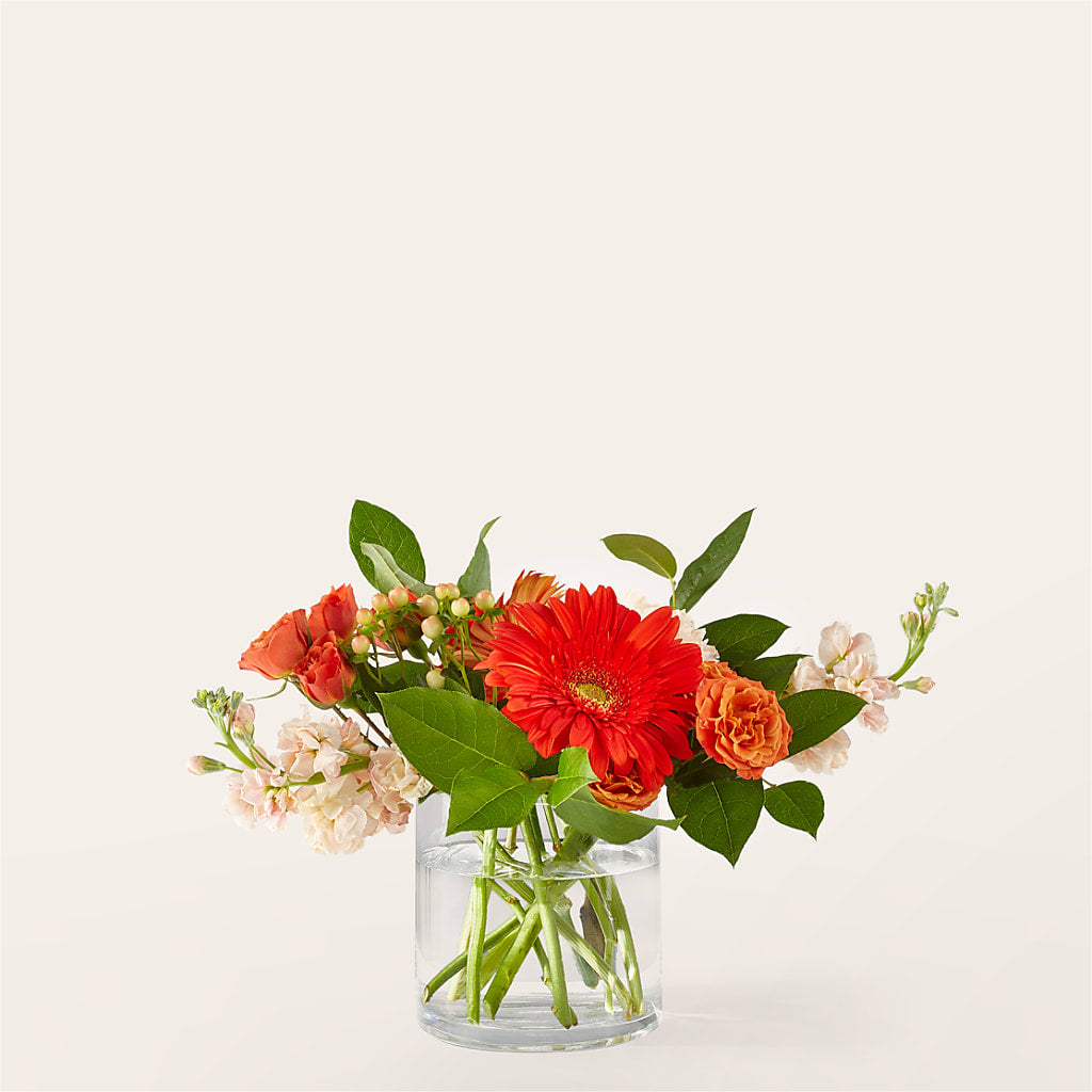 Paloma Please Bouquet – LEE'S FLORIST & GREENHOUSE, Center Line MI