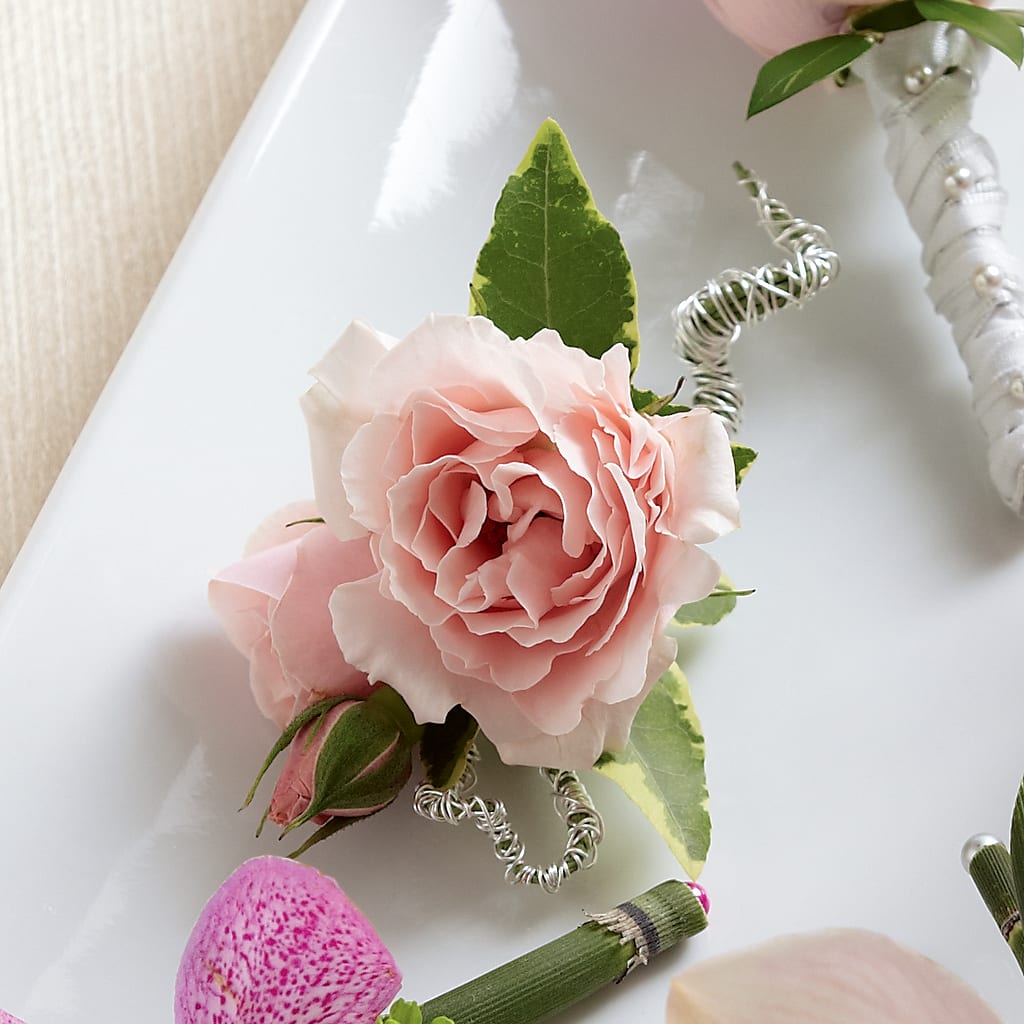 Pink Spray Rose Boutonniere – LEE'S FLORIST & GREENHOUSE, Center Line MI