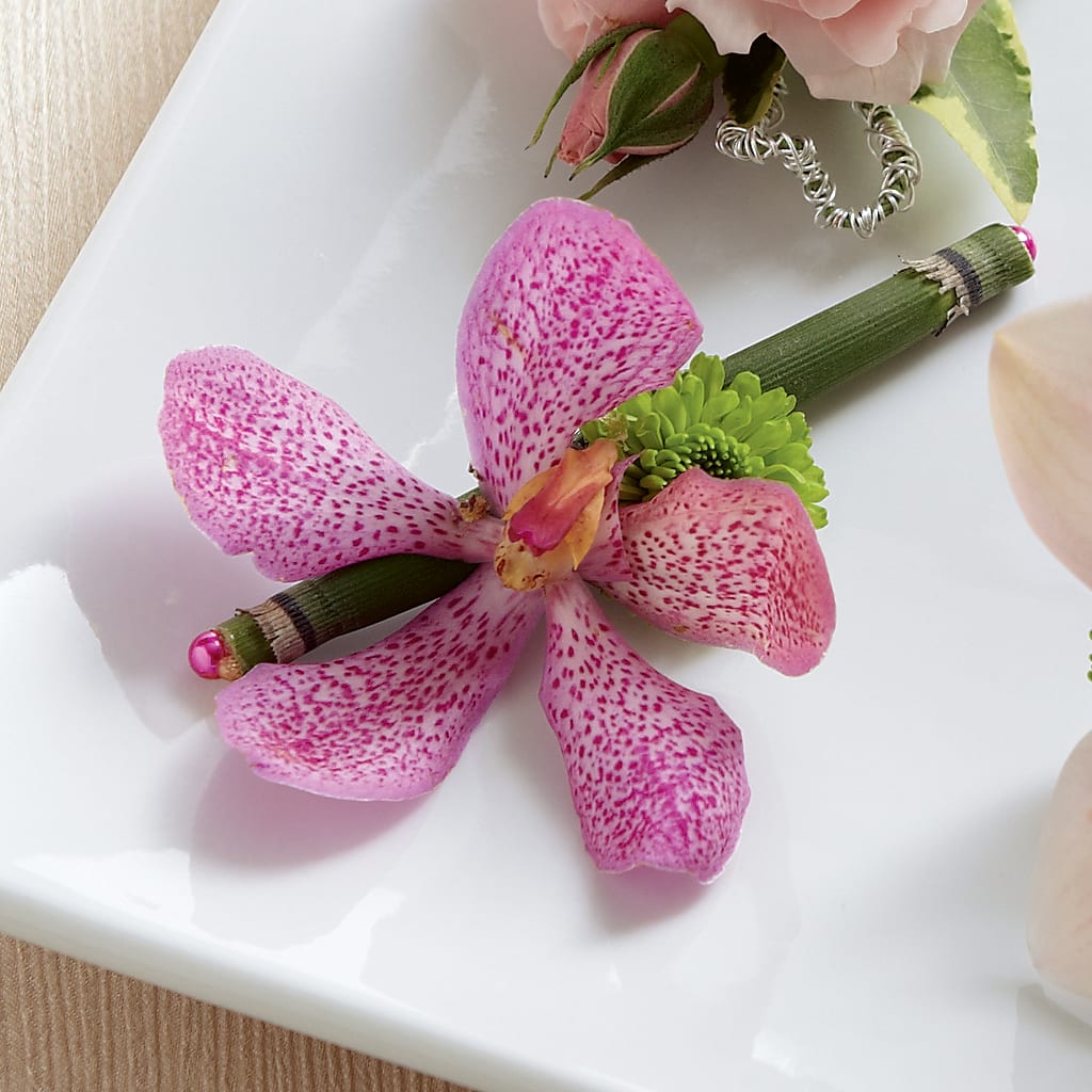 Pink Mokara Boutonniere – LEE'S FLORIST & GREENHOUSE, Center Line MI