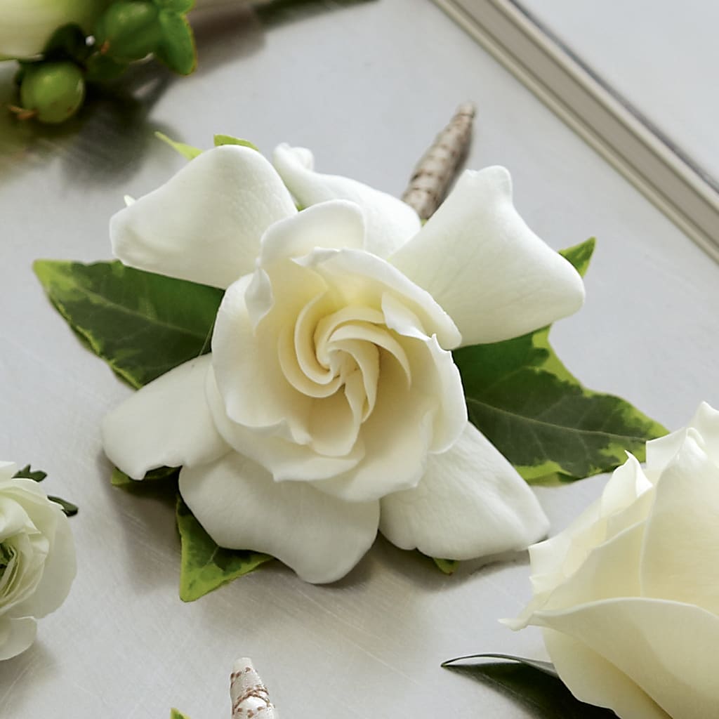 Gardenia Boutonniere – LEE'S FLORIST & GREENHOUSE, Center Line MI