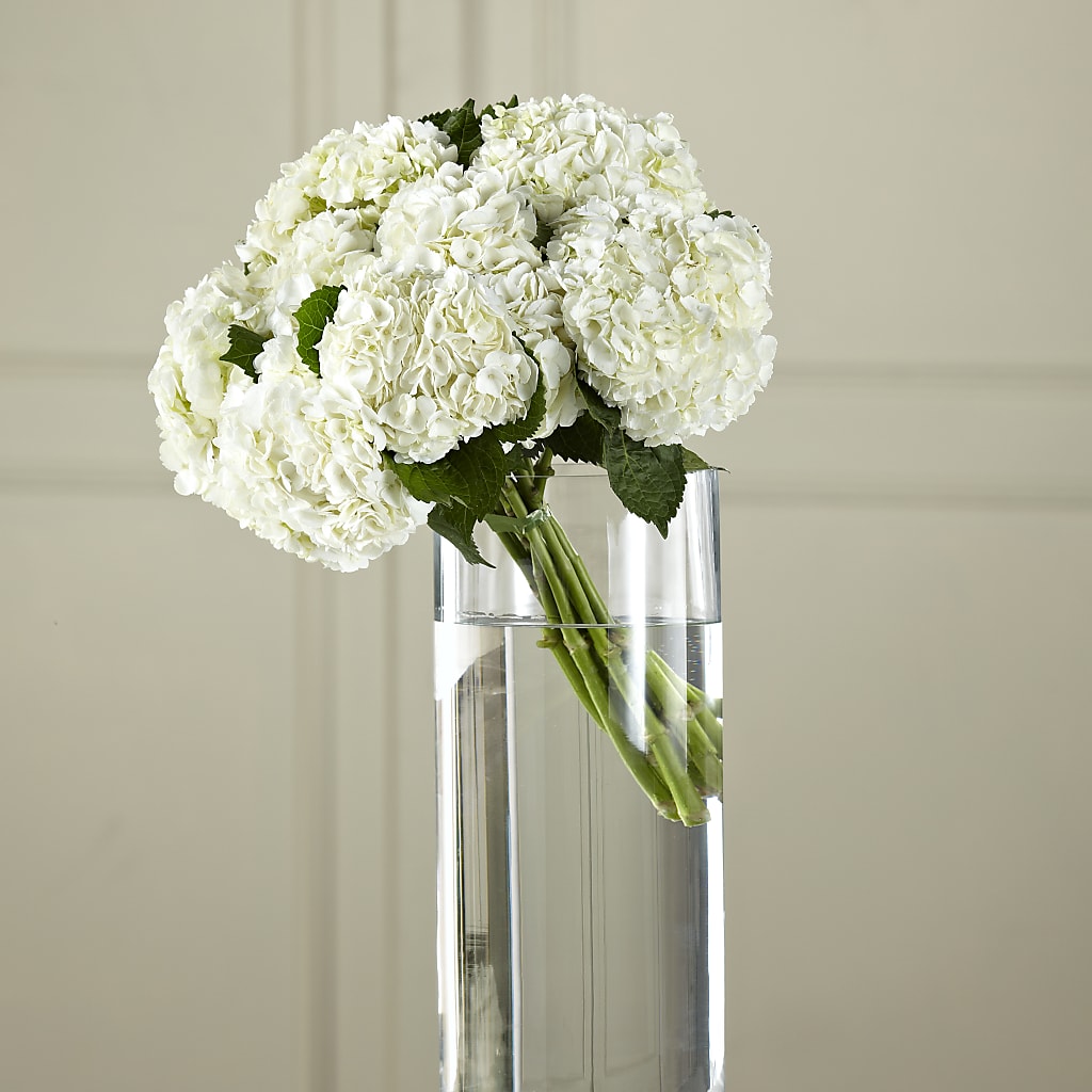 White Hydrangea Hand-Tied Bouquet – LEE'S FLORIST & GREENHOUSE, Center Line MI
