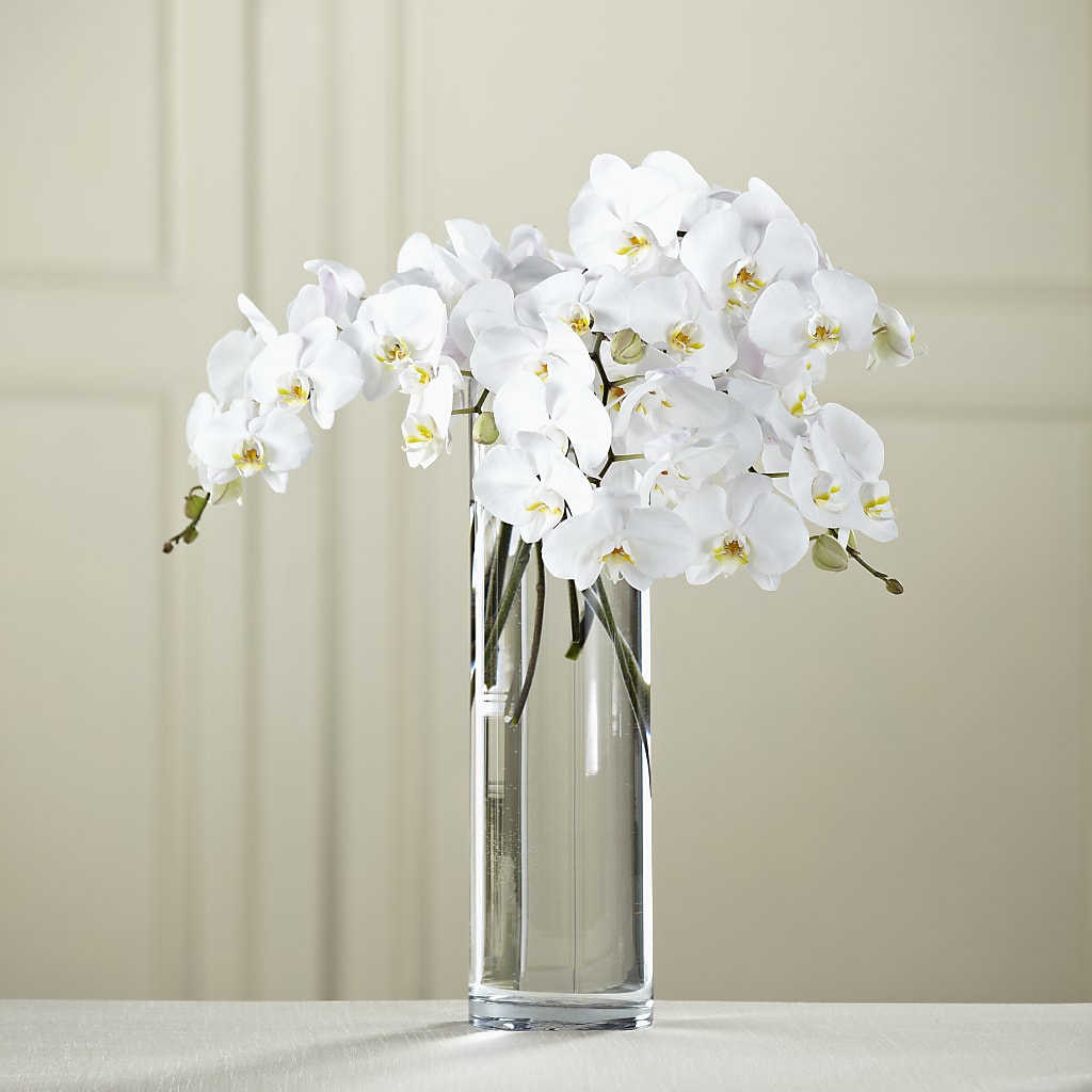 White Phalaenopsis Bouquet – LEE'S FLORIST & GREENHOUSE, Center Line MI