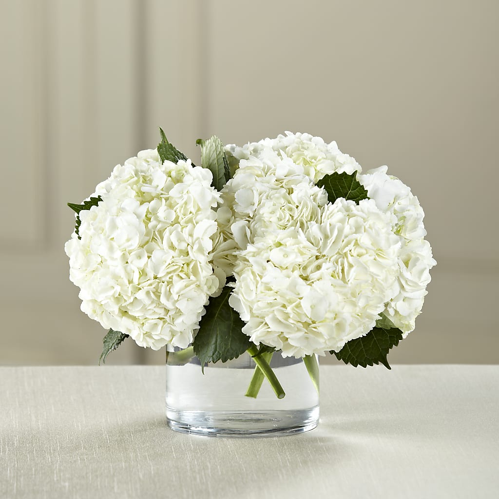 White Hydrangea Bouquet – LEE'S FLORIST & GREENHOUSE, Center Line MI
