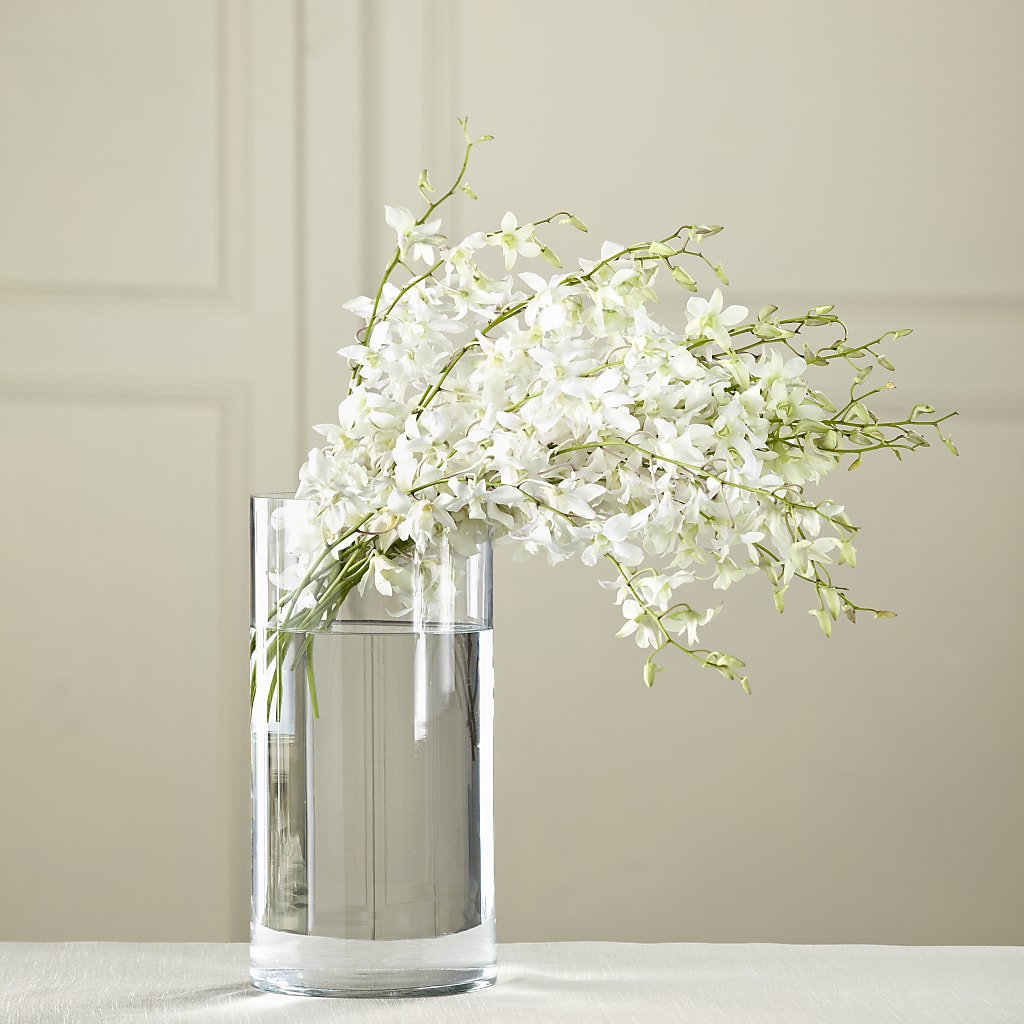 White Dendrobium Bouquet – LEE'S FLORIST & GREENHOUSE, Center Line MI