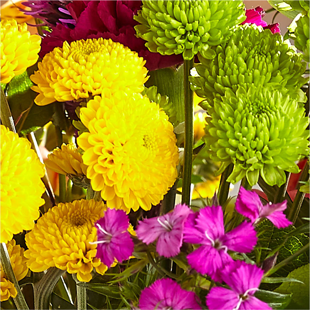 Bold & Bright – A Florist Original – LEE'S FLORIST & GREENHOUSE, Center Line MI