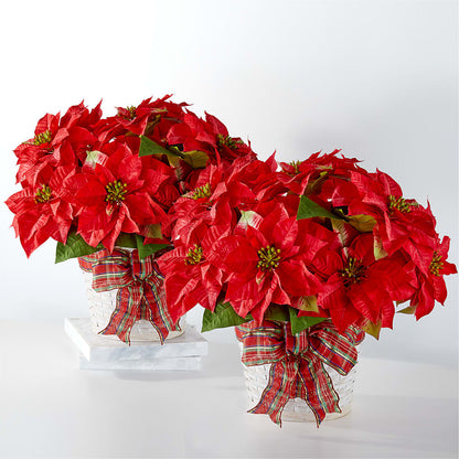 Happiest Holidays Poinsettia Bundle – LEE'S FLORIST & GREENHOUSE, Center Line MI