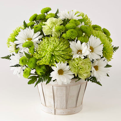 Lucky Charm Basket (Standard) – LEE'S FLORIST & GREENHOUSE, Center Line MI