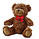Adorable Plush Bear – LEE'S FLORIST & GREENHOUSE, Center Line MI