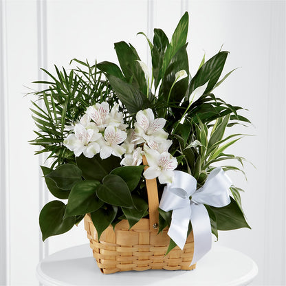 Peace & Serenity Dishgarden – LEE'S FLORIST & GREENHOUSE, Center Line MI