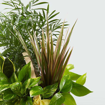 French Garden – LEE'S FLORIST & GREENHOUSE, Center Line MI