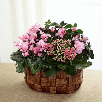 Pink Assortment – LEE'S FLORIST & GREENHOUSE, Center Line MI