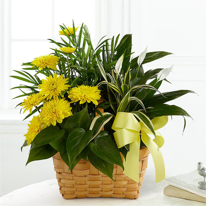 Loving Light Dishgarden – LEE'S FLORIST & GREENHOUSE, Center Line MI