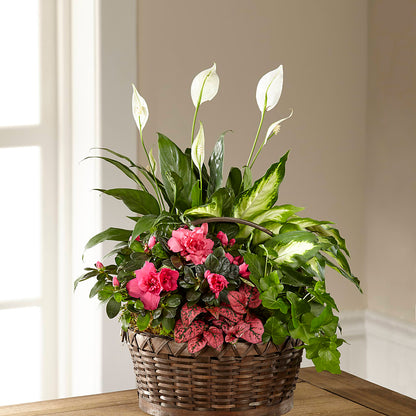 Dream in Pink Dishgarden – LEE'S FLORIST & GREENHOUSE, Center Line MI