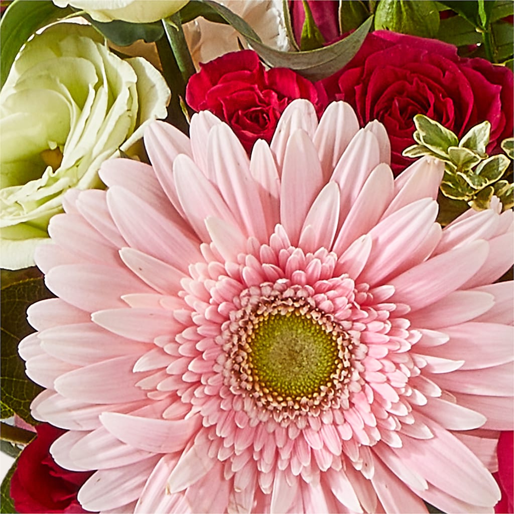 Too Cute Bouquet – LEE'S FLORIST & GREENHOUSE, Center Line MI