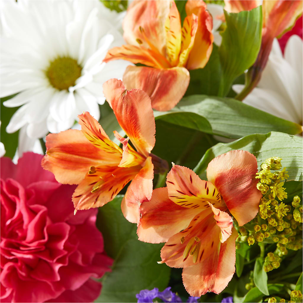Oopsie Daisy Box Bouquet – LEE'S FLORIST & GREENHOUSE, Center Line MI