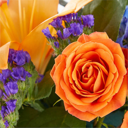 Radiant Citrus Box Bouquet – LEE'S FLORIST & GREENHOUSE, Center Line MI