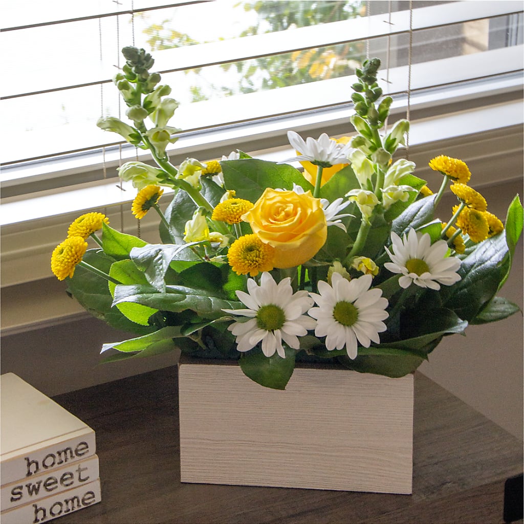 Sun Salutation Box Bouquet – LEE'S FLORIST & GREENHOUSE, Center Line MI