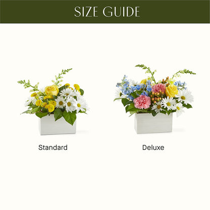 Sun Salutation Box Bouquet – LEE'S FLORIST & GREENHOUSE, Center Line MI