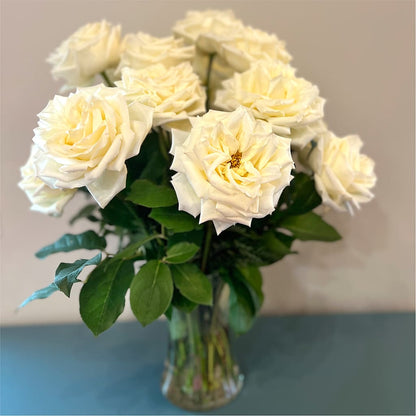Long Stem Yellow Rose Bouquet – LEE'S FLORIST & GREENHOUSE, Center Line MI