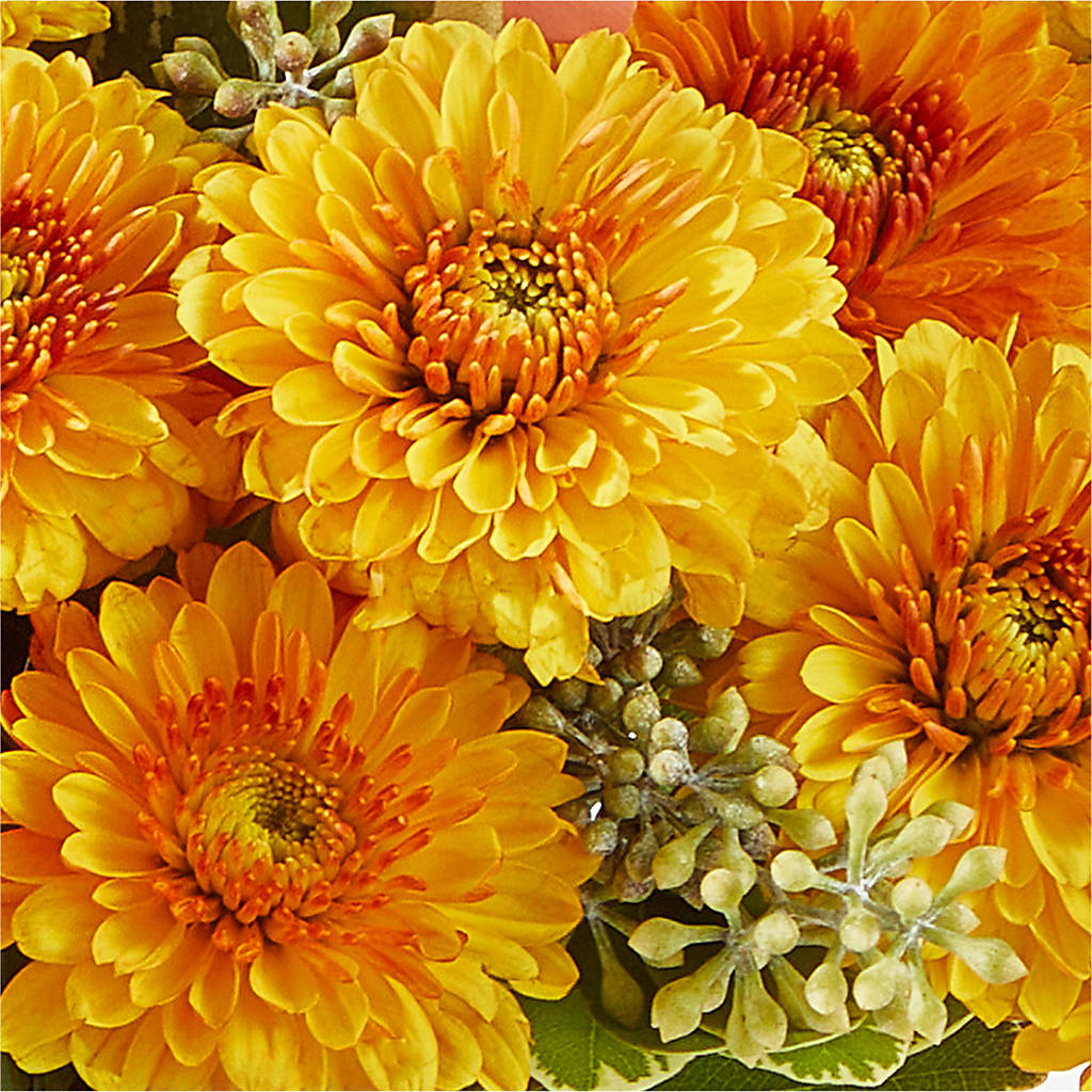Peachy Pumpkin – LEE'S FLORIST & GREENHOUSE, Center Line MI