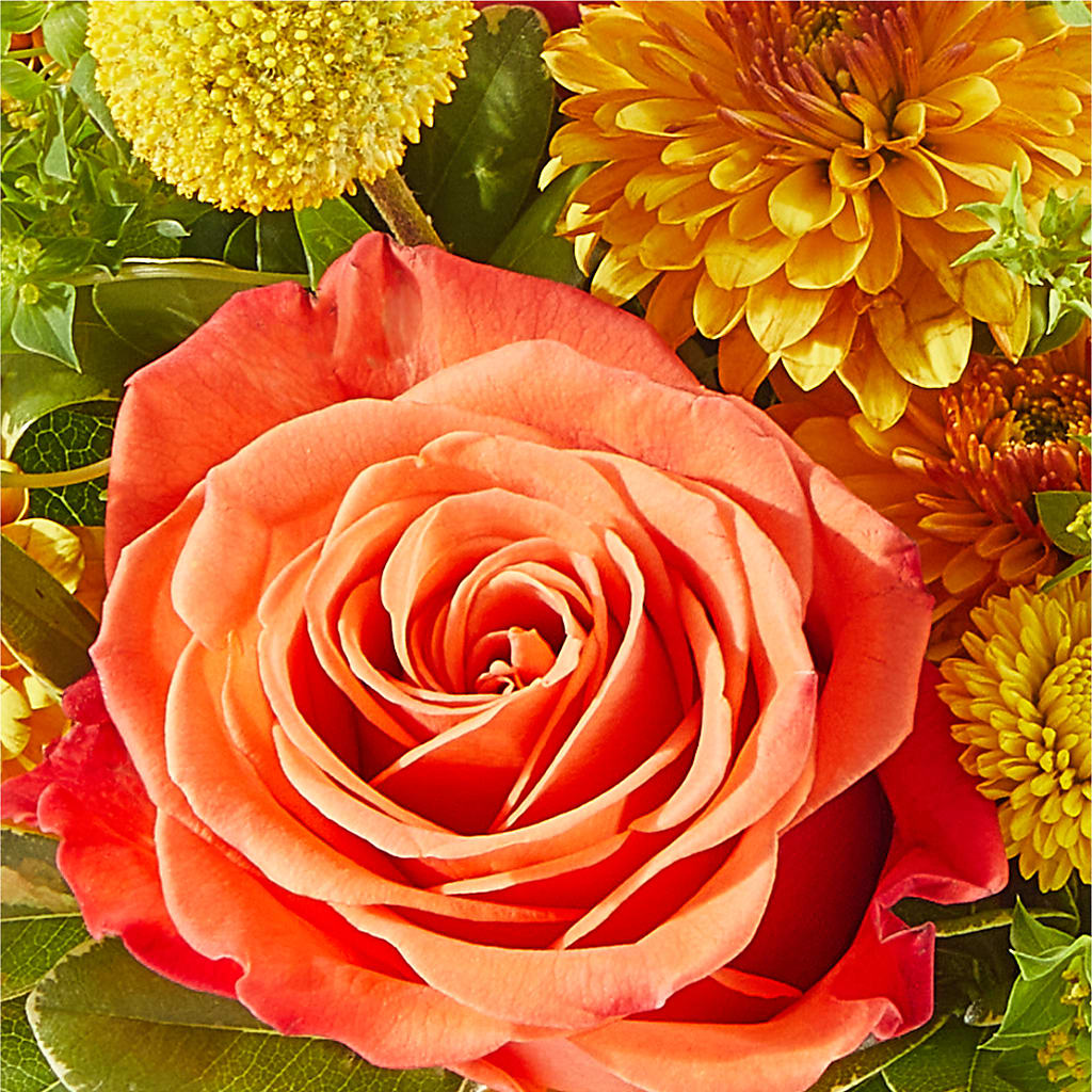 Gourdgeous Pumpkin – LEE'S FLORIST & GREENHOUSE, Center Line MI