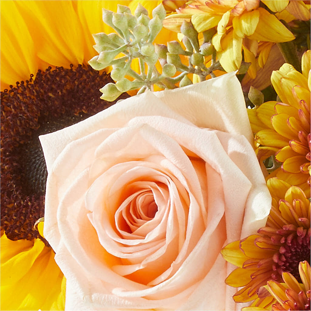 Pumpkin to Talk About Bouquet – LEE'S FLORIST & GREENHOUSE, Center Line MI
