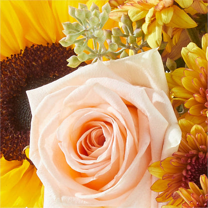 Pumpkin to Talk About Bouquet – LEE'S FLORIST & GREENHOUSE, Center Line MI