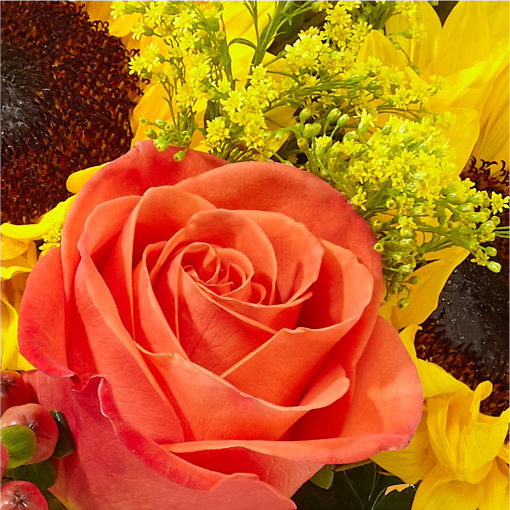 Pick of the Patch Pumpkin Bouquet – LEE'S FLORIST & GREENHOUSE, Center Line MI