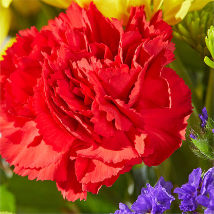 Brighter Days Bouquet – LEE'S FLORIST & GREENHOUSE, Center Line MI