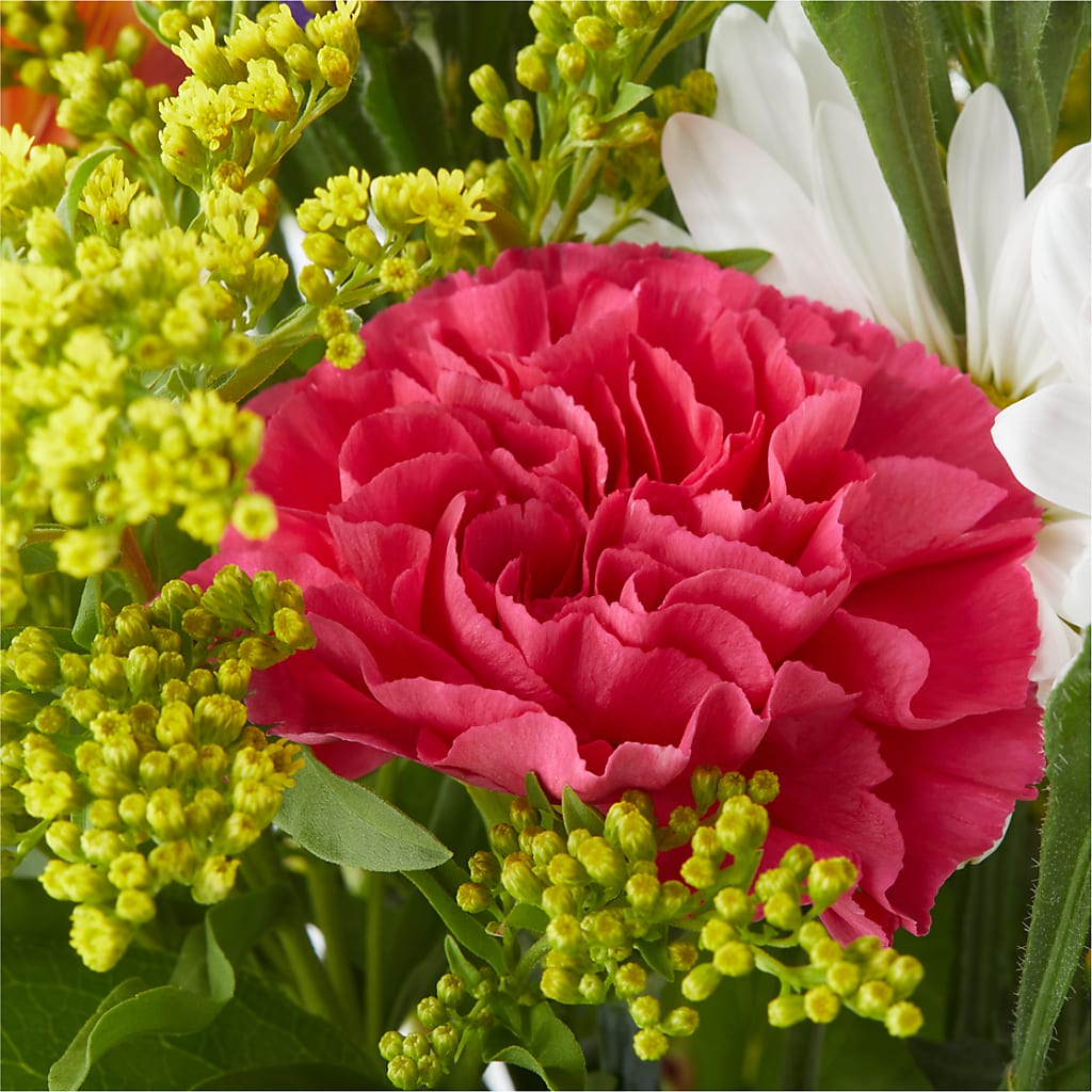 Oopsie Daisy Bouquet – LEE'S FLORIST & GREENHOUSE, Center Line MI