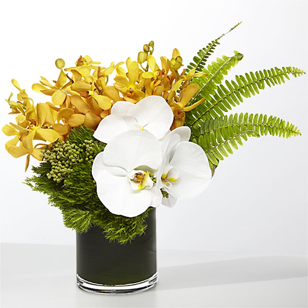 The Tropics – LEE'S FLORIST & GREENHOUSE, Center Line MI