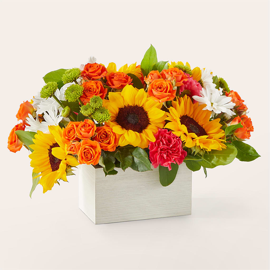 Sun-drenched Blooms Box Bouquet – LEE'S FLORIST & GREENHOUSE, Center Line MI