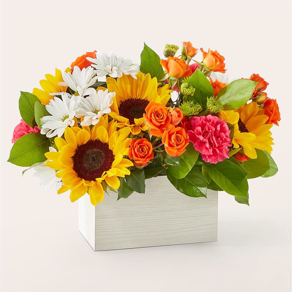 Sun-drenched Blooms Box Bouquet – LEE'S FLORIST & GREENHOUSE, Center Line MI