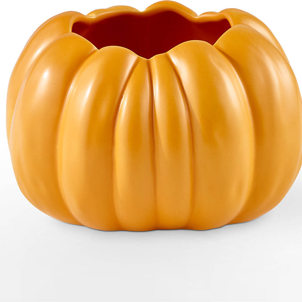 Pick of the Patch Pumpkin Bouquet – LEE'S FLORIST & GREENHOUSE, Center Line MI