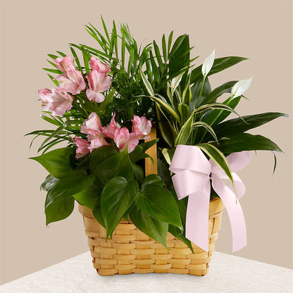 Living Spirit Dishgarden – LEE'S FLORIST & GREENHOUSE, Center Line MI
