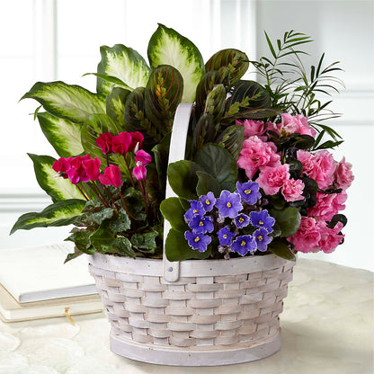 Peaceful Garden Planter – LEE'S FLORIST & GREENHOUSE, Center Line MI