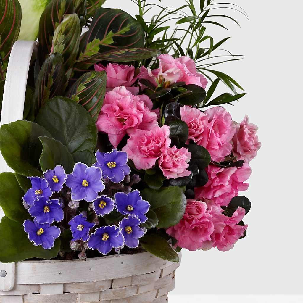 Peaceful Garden Planter – LEE'S FLORIST & GREENHOUSE, Center Line MI