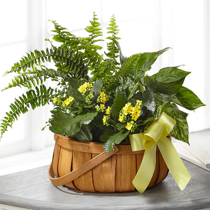 Always Dear Dishgarden – LEE'S FLORIST & GREENHOUSE, Center Line MI